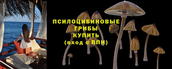 амф Абаза
