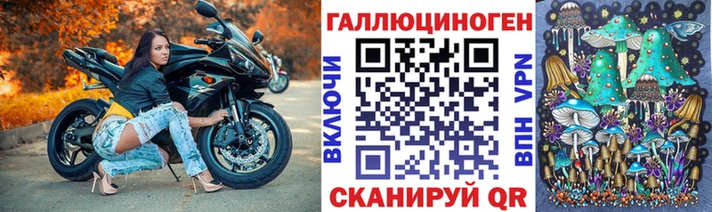 Галлюциногенные грибы Cubensis  Алдан 